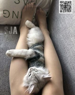 91视频导航网站_在线影院观看