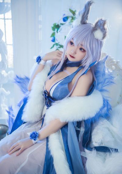 欧美mv在沙漠牵着骆驼_蓝光在线观看完整版